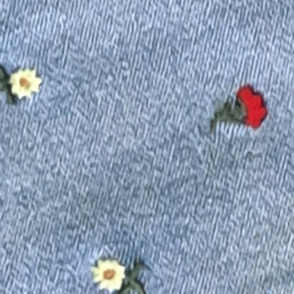 Dex Embroidered Flower High Waisted Denim Shorts NWOT Frayed Raw Hem Size 26 - Picture 6 of 9